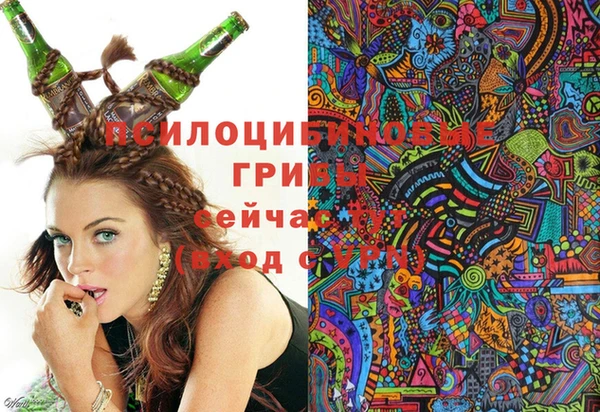 мяу мяу мука Богданович