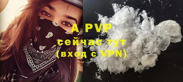 Альфа ПВП Белокуриха