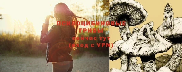 героин Бородино